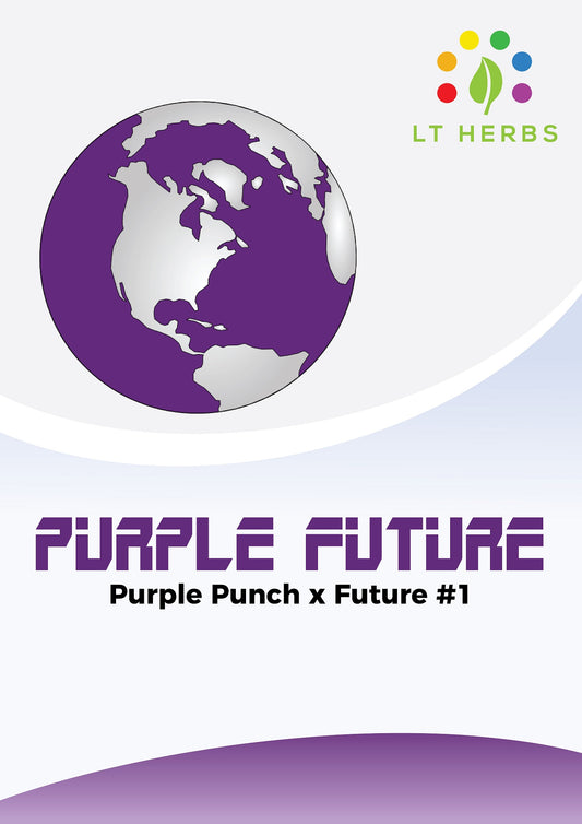 Purple Future