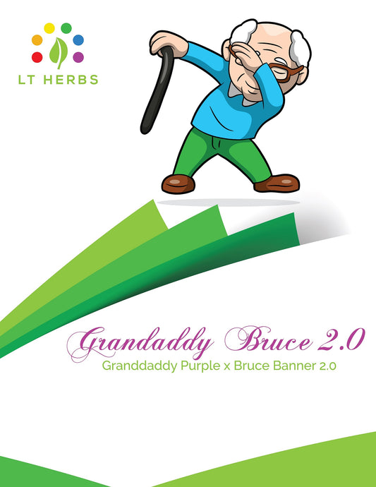 Grandaddy Bruce 2.0